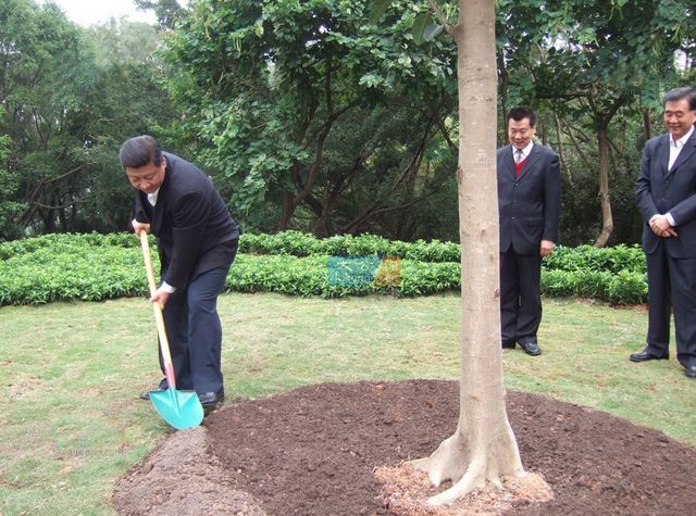 ��(gu��)���I(l��ng)��(d��o)����(x��)��ƽ���L���ڝO����ɏ��ɽ���@